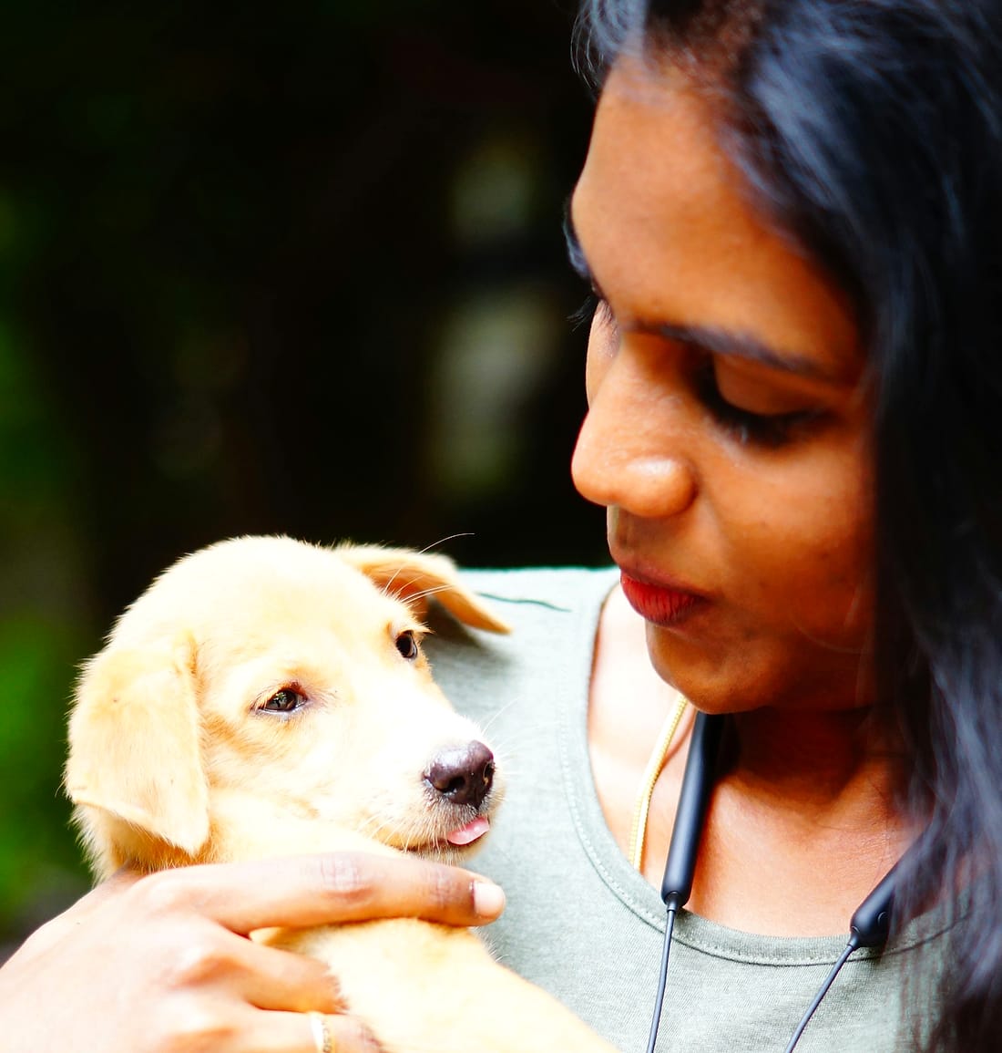 Cachorro en brazos de su dueña